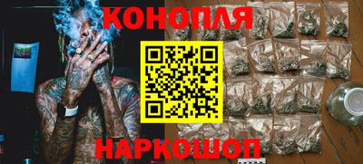 гашик Лесосибирск