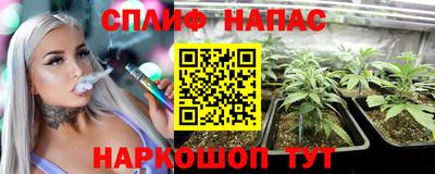 гашик Лесосибирск