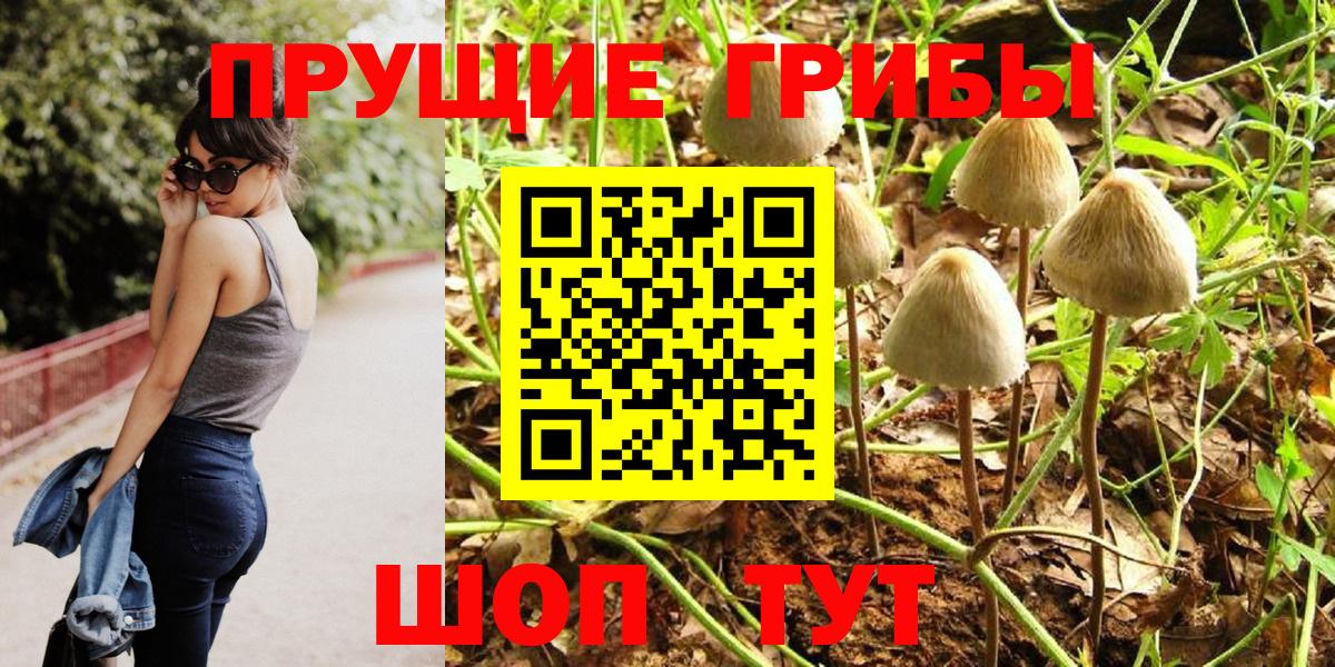 Галлюциногенные грибы ЛСД Дедовск
